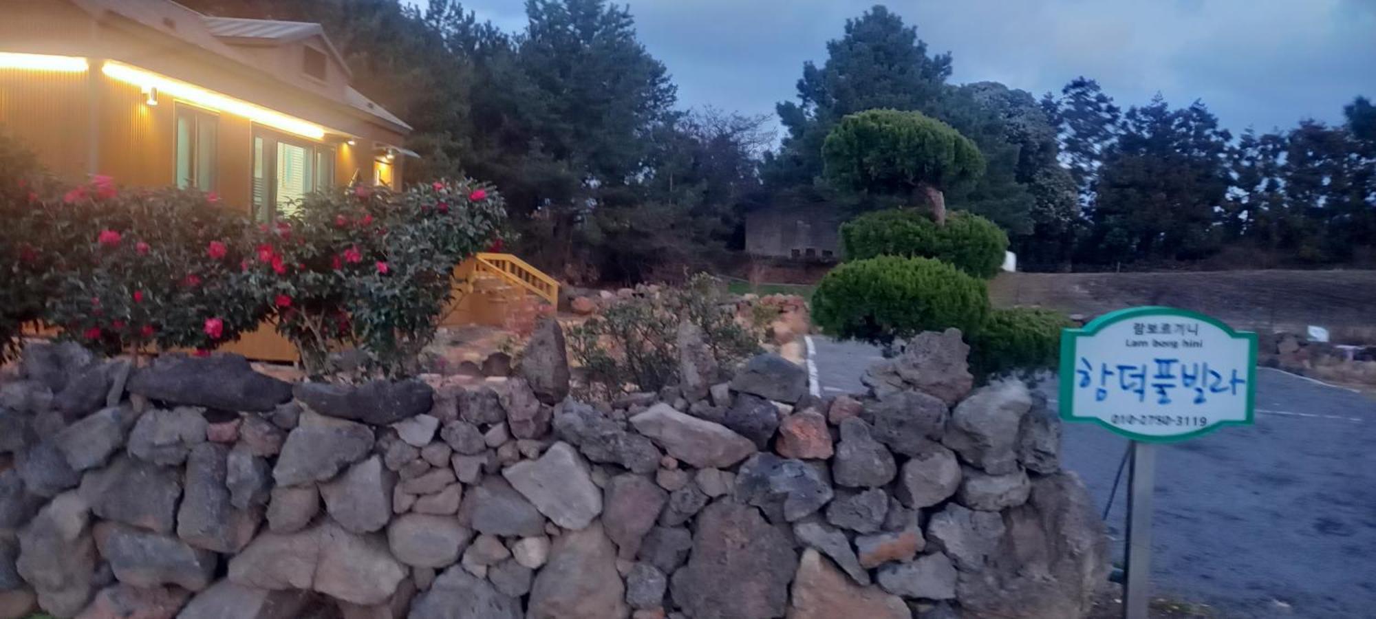 Hamdeok Pool Villa Pension 済州市 エクステリア 写真