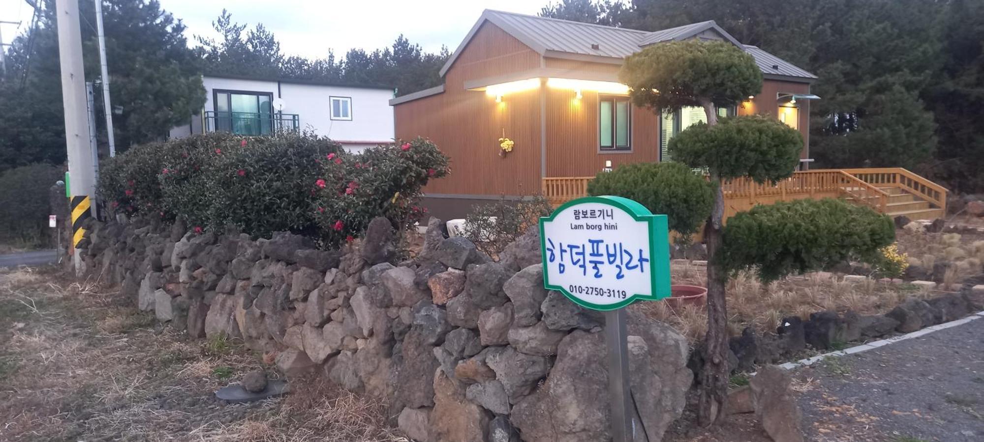 Hamdeok Pool Villa Pension 済州市 エクステリア 写真
